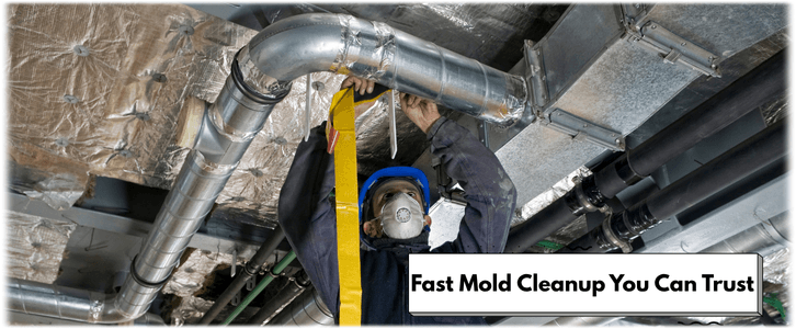 Air Duct Mold Removal in Cypress TX