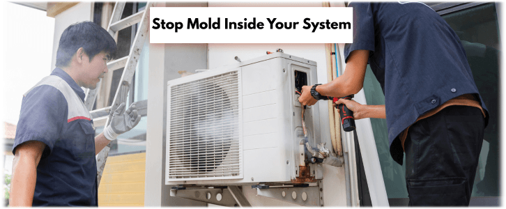 HVAC Mold Removal Cypress TX